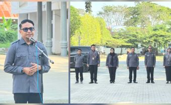 Apel