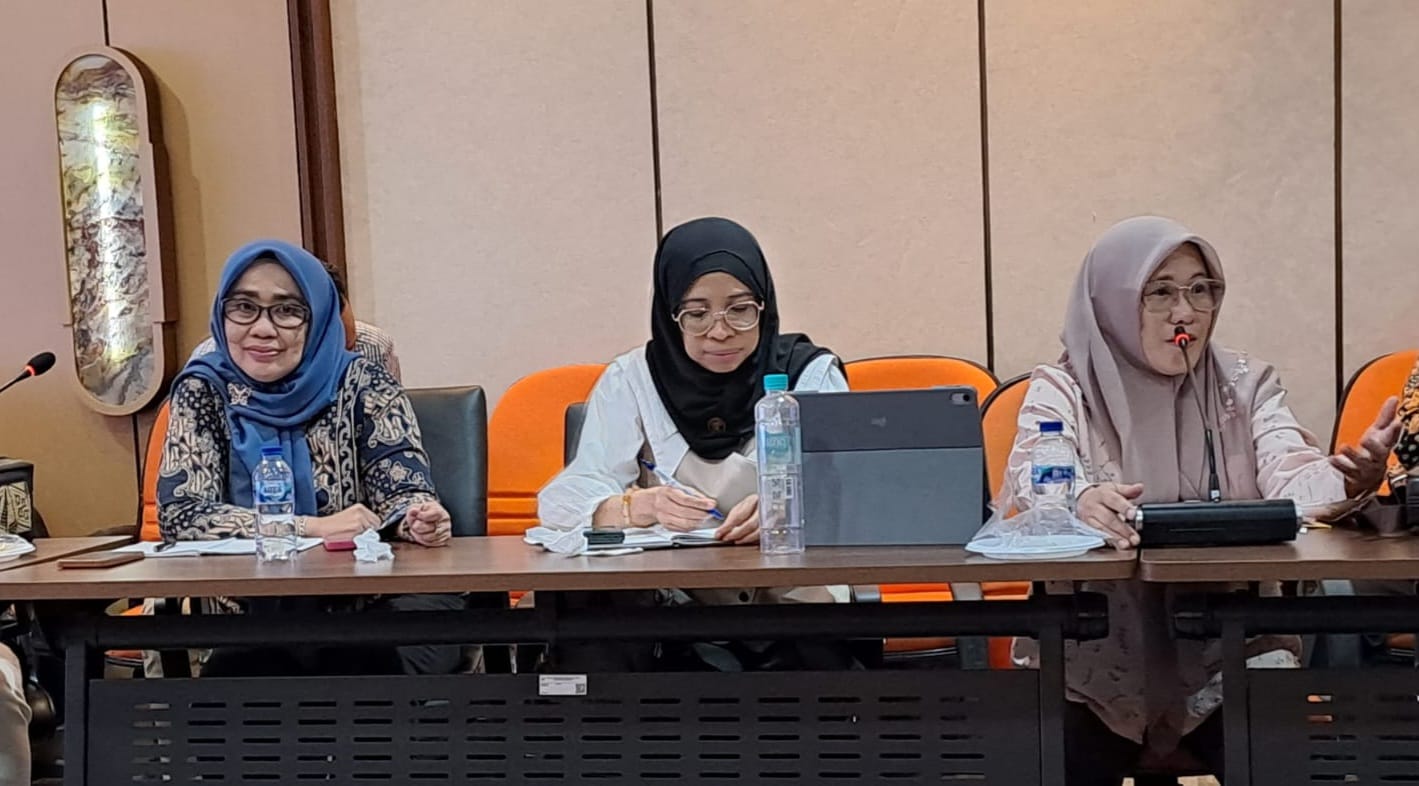 Lismawy Ibrahim Hadiri Rapat Penyusunan Daftar Inventarisasi Masalah Terkait Perubahan Perbawaslu