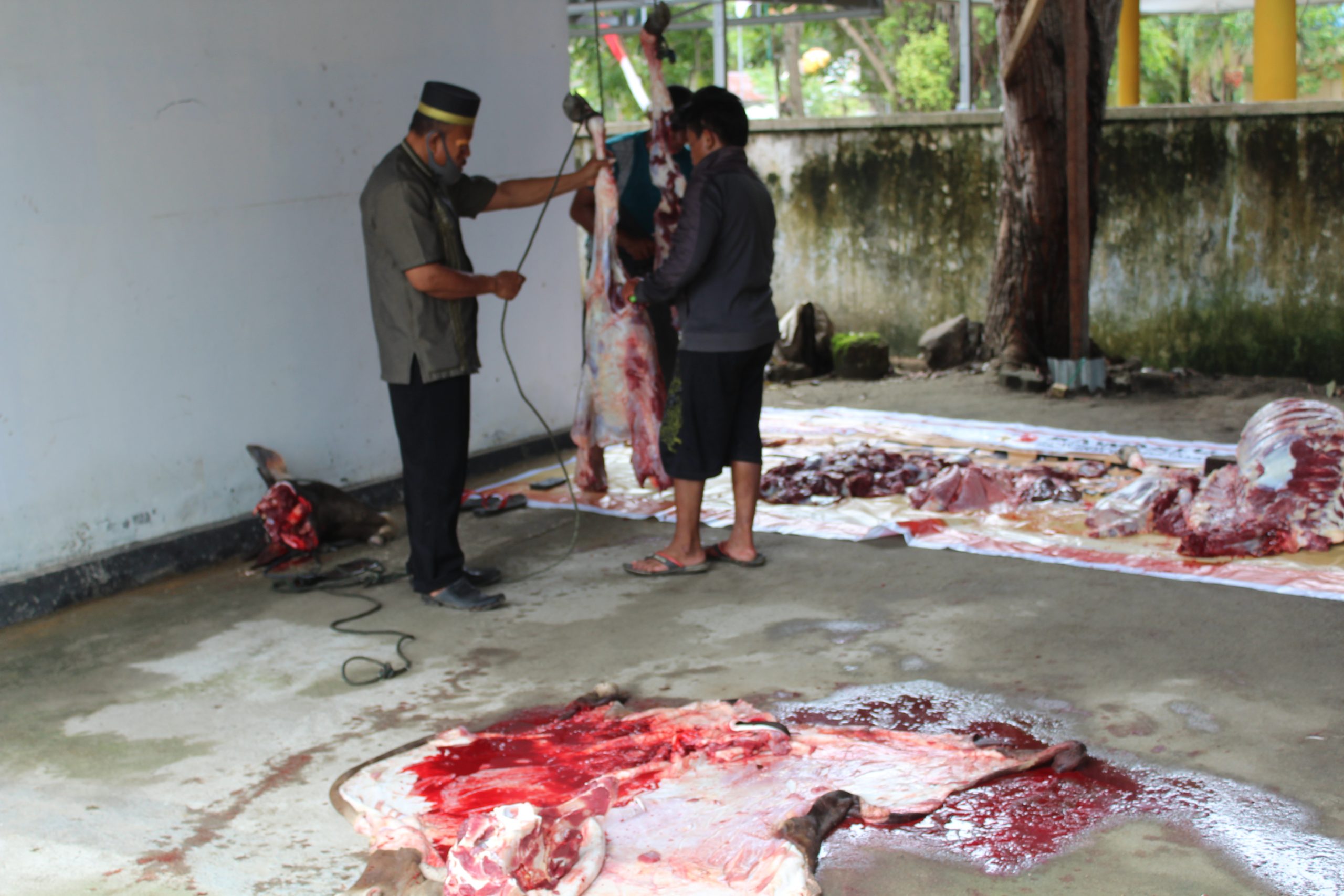 Idul Adha 1441 H: Bawaslu Laksanakan Penyembelihan Hewan Kurban